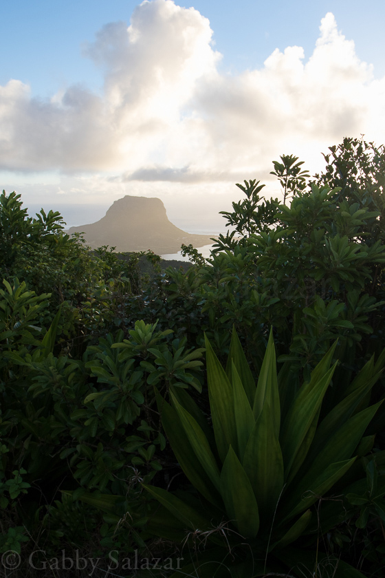 Sunset as seen from the Summit of Pinto du Canot Mountain in Mauritius. 
