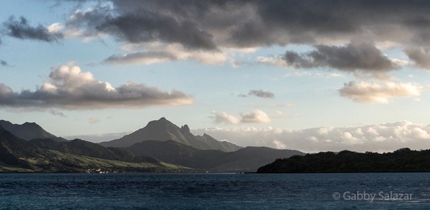 A view of Ile aux Aigrettes with Lion Mountain in the background. 